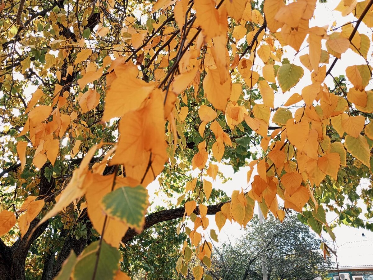 Фото: Виолетта Гавриленко.