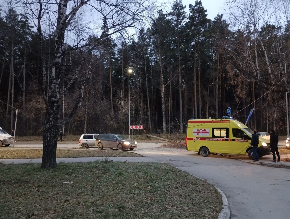    Фото: "Сообщество Академгородка" \ Telegram