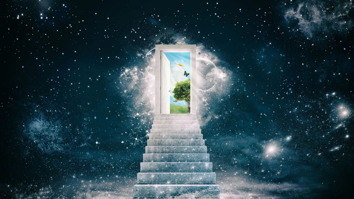    Фото: alphaspirit.it / shutterstock.com / Fotodom