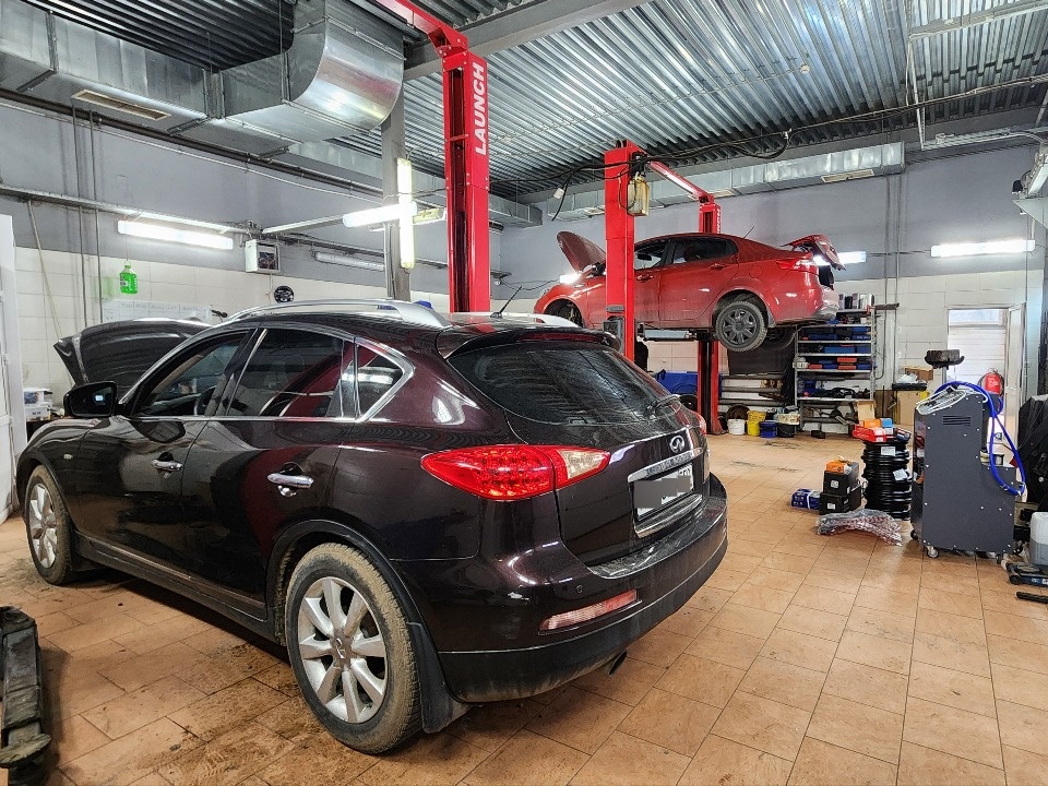    Фото: МедиаБанк Подмосковья/Ольга Антонова