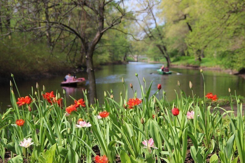 Источник: https://www.fiesta.ru/spb/news/samie-spokoynie-mesta-v-petersburg/