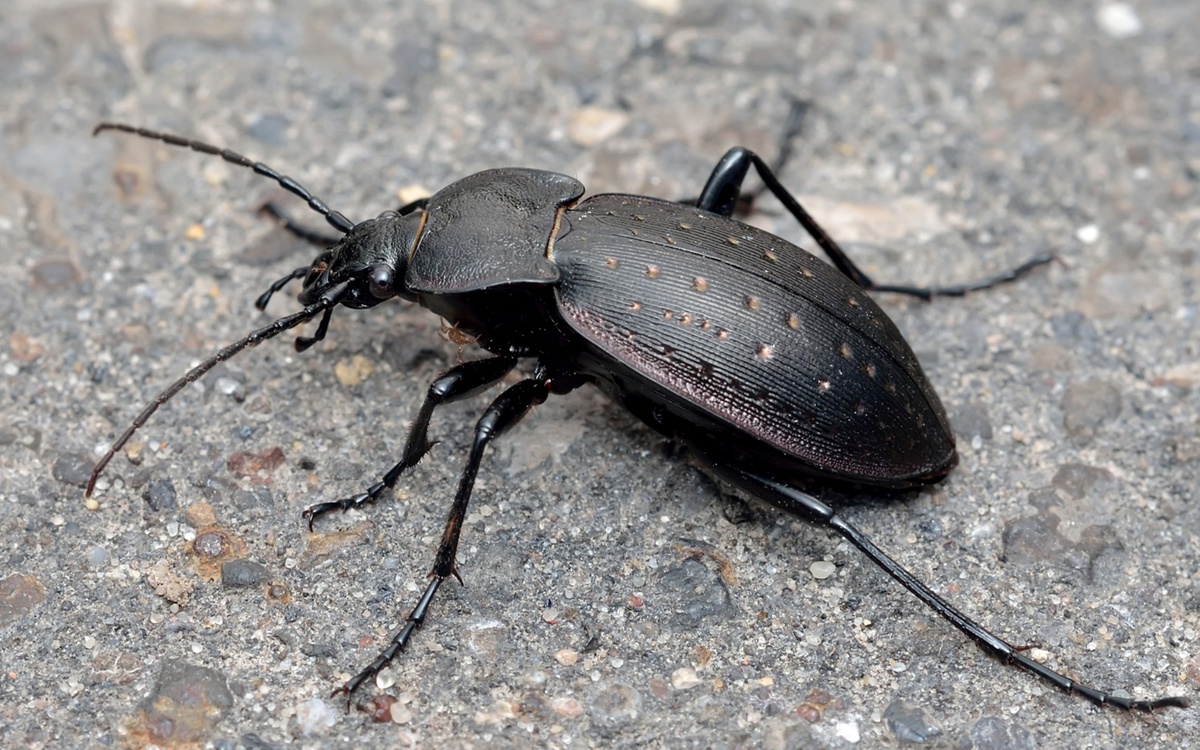 Фотография из интернета