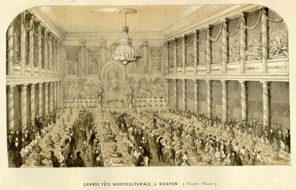 Гравюра из журнала "Flore des serres et des Jardins de l'Europe" с изображением банкета в честь садоводческого фестиваля в Бостоне. Действие происходит в большом зале Файнел-холла. 