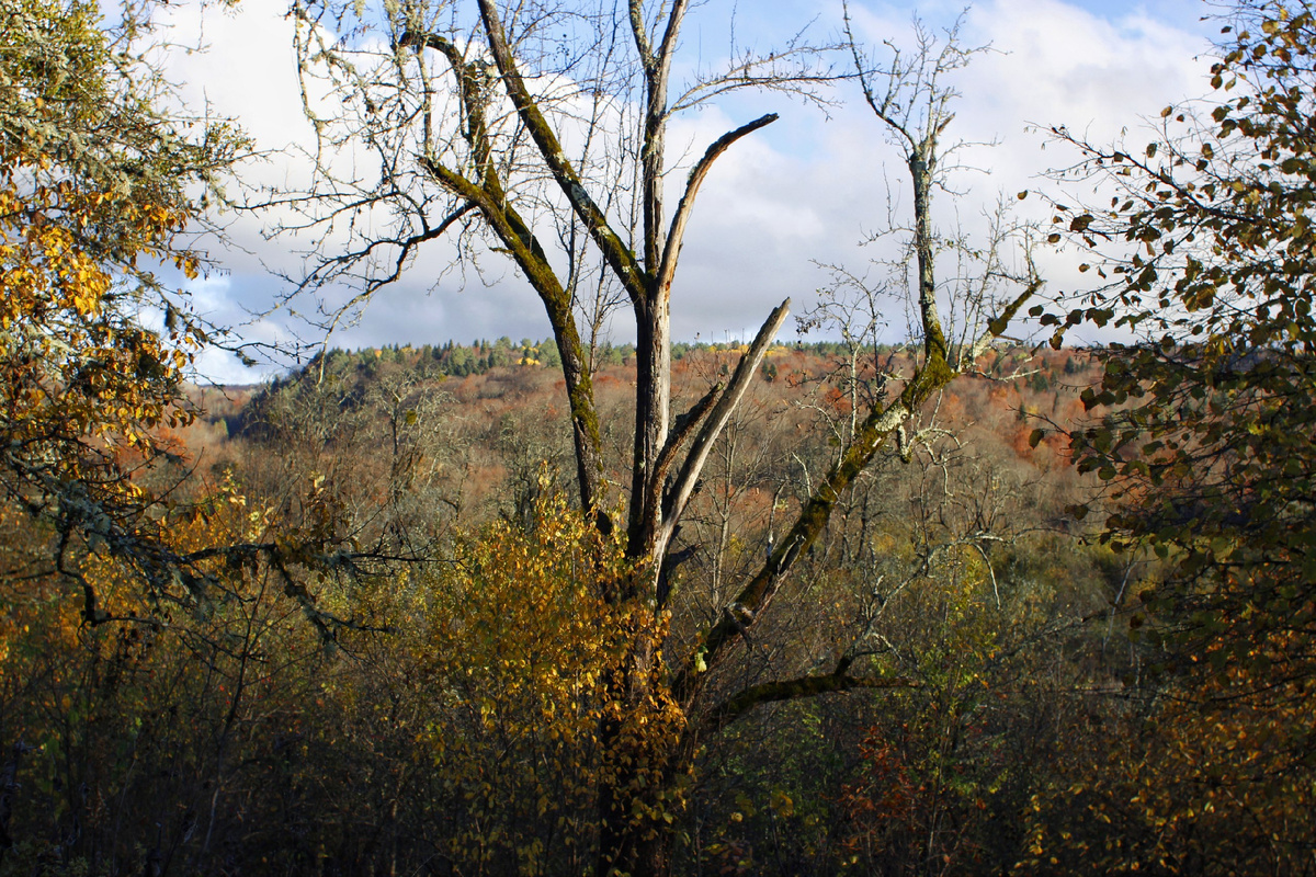 Фото: Анастасия Жигачева. Локация - Мезмай, Краснодарский край.