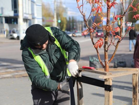    Фото: управления информации Воронежа