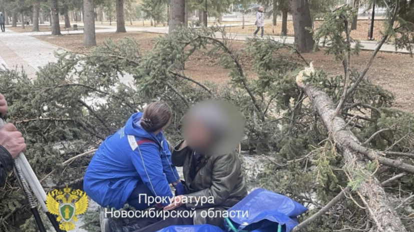    Прокуратура Новосибирской области