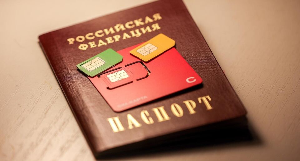    Shatokhina Natalia/news.ru / www.globallookpress.com