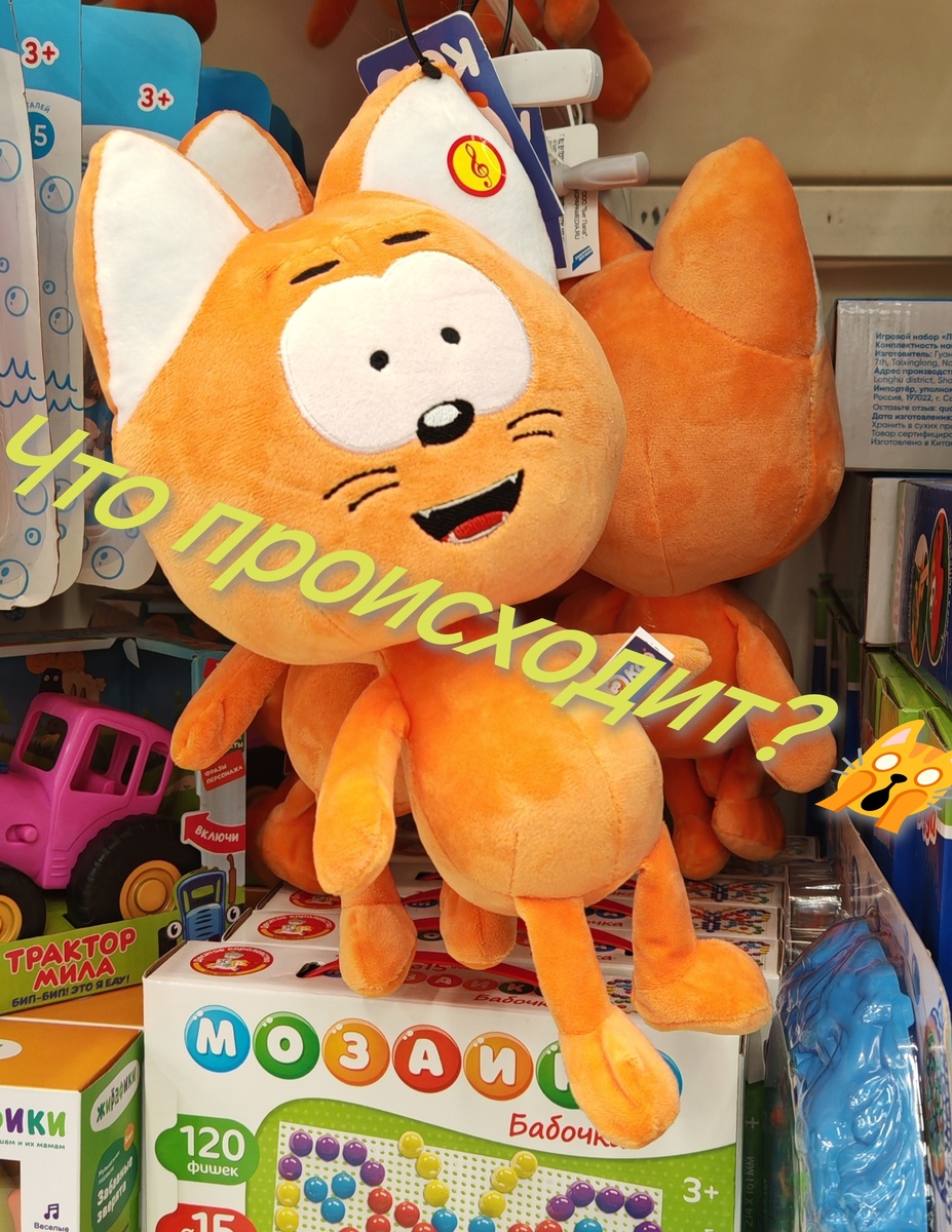 Что происходит?! Даже кот удивлён! Фото автора