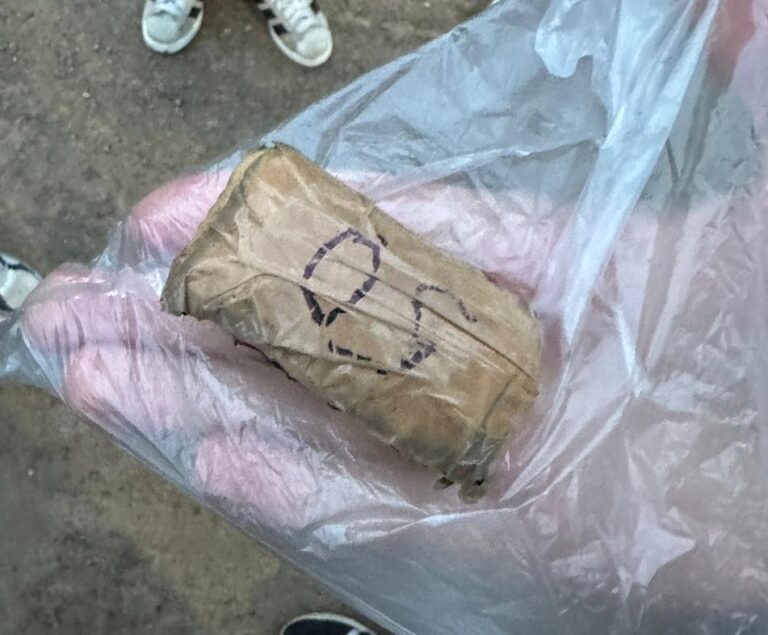    В Оренбургском районе изъяли крупную партию синтетического наркотика Мария Чалкина