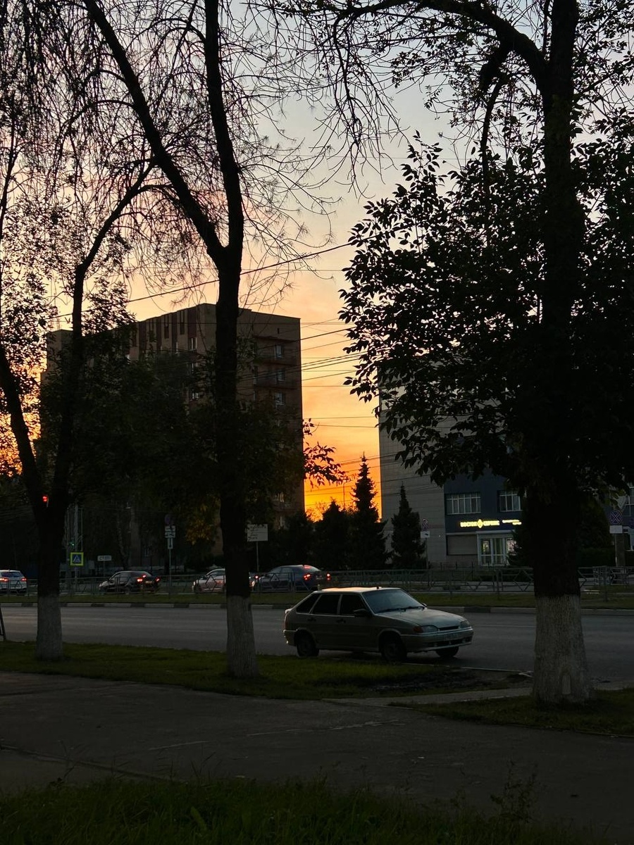    Фото: Анастасия Максименко