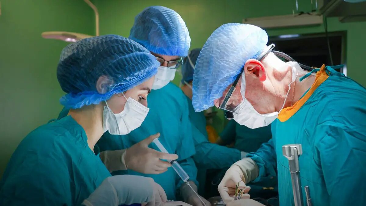    Фото: vm.ru Оливия Ильинская