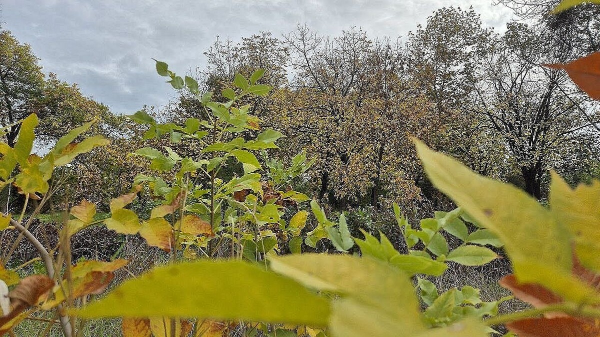    Фото: телеканал «Краснодар»