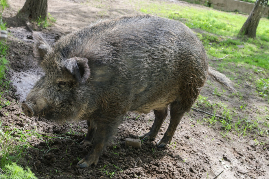    Наталья Шатохина/NEWS.ru