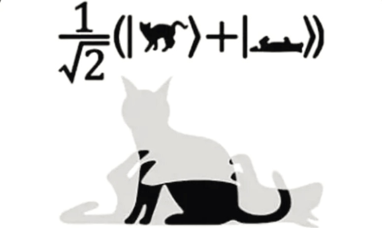 Кот Шрёдингера скорее жив, чем мёртв.