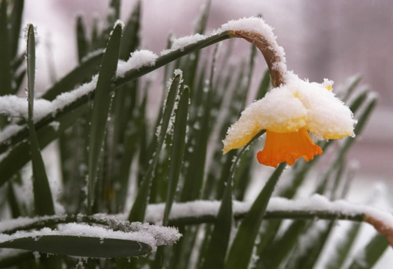    //Фото с сайта weblogs.marylandweather.com/