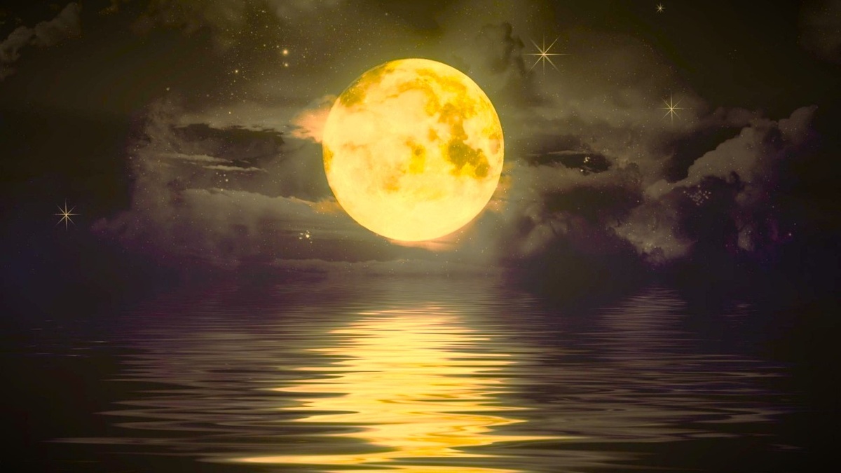 Не бросайте себя. Больше всего сейчас вам нужна СОБСТВЕННАЯ поддержка!