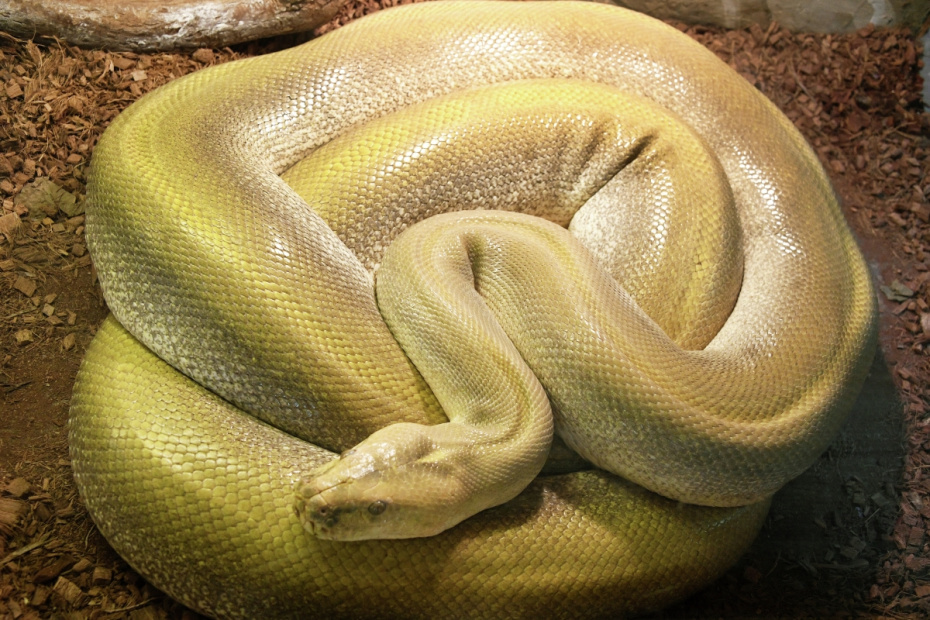    Виталий Аньков/РИА Новости