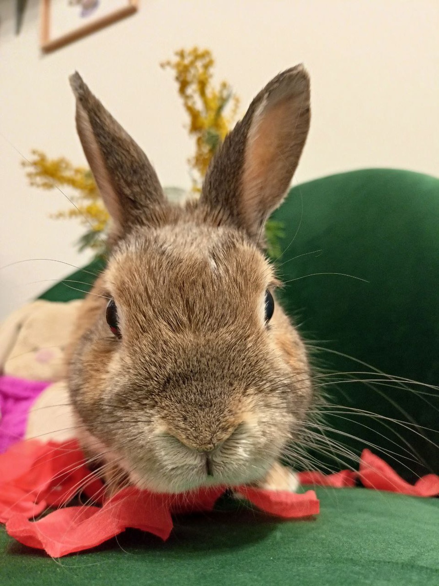 у Ирискина усы были очень хорошо заметны