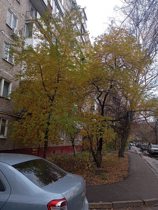 Нижний Новгород, 30 октября 2025