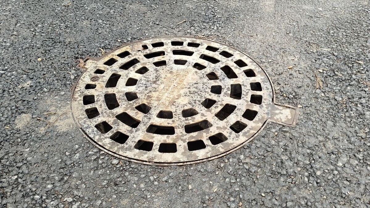    Фото: телеканал «Краснодар»