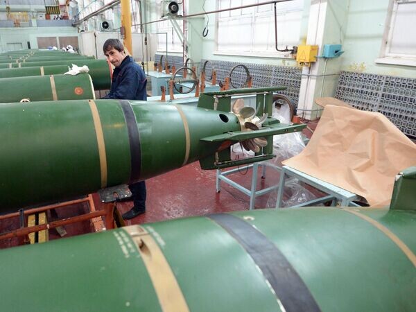    © РИА Новости Сергей Мамонтов