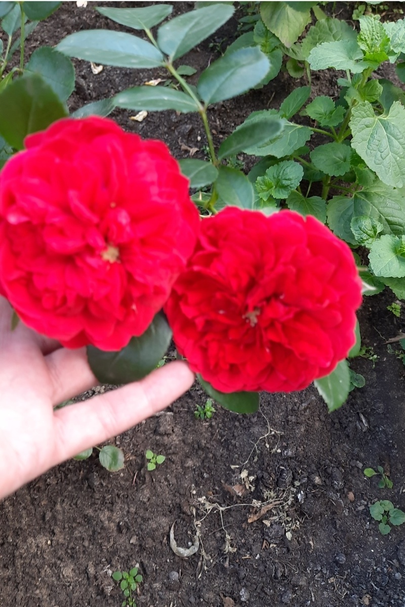 фото Татьяны