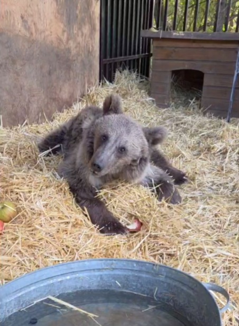      Фото: ИА «Победа26»