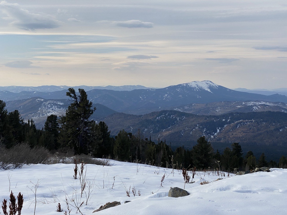 Алтай. Смотровая площадка на высоте 1690 м.н.у.м.