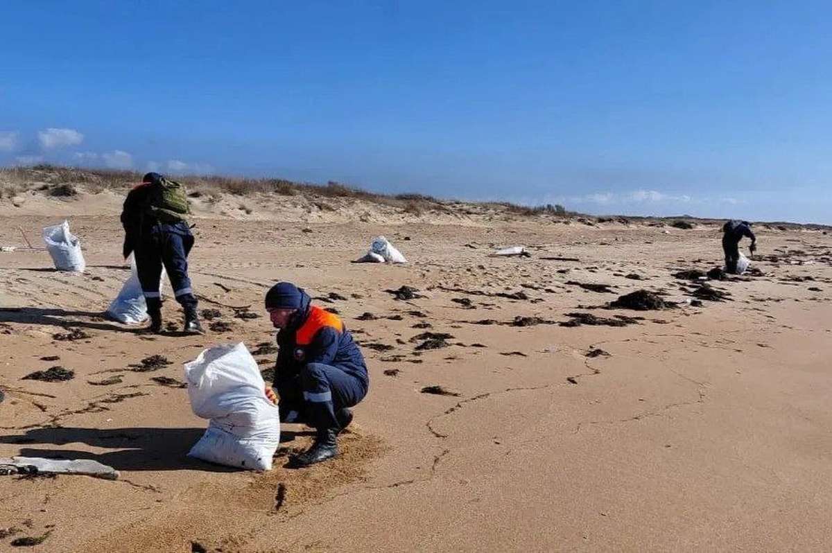    Фото t.me/opershtab23