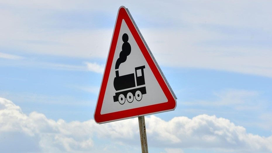 Автор фото:  Михаил Тихонов / "Деловой Петербург"