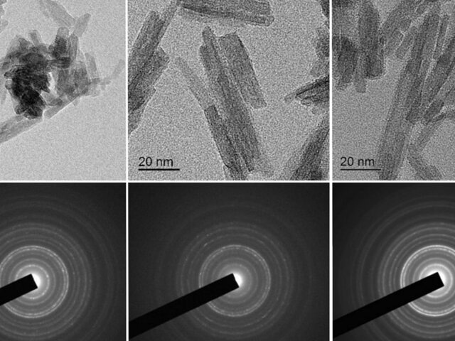    Фото: наука.рф