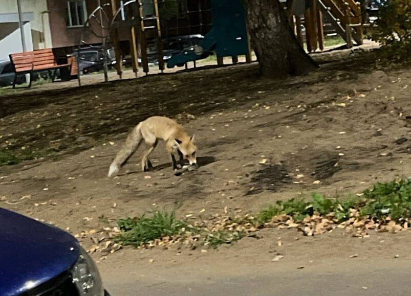 Фото: соцсети