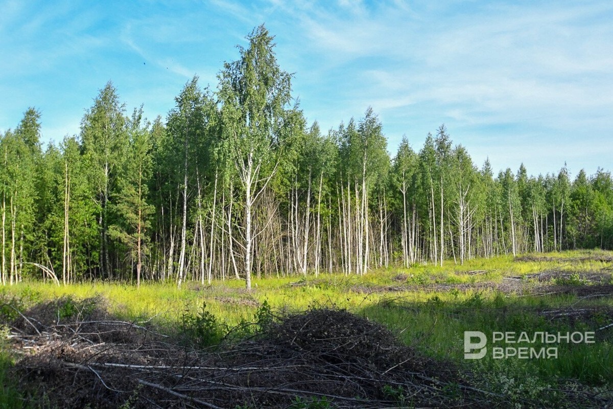   Максим Платонов / realnoevremya.ru