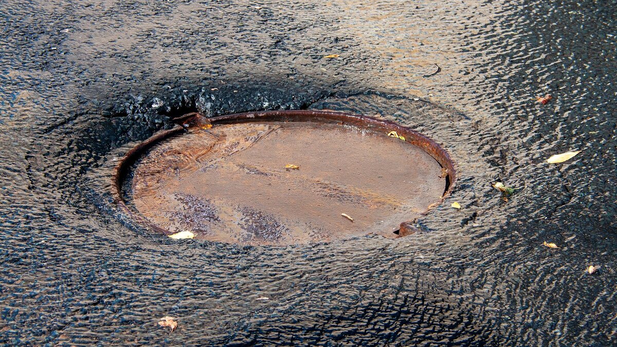    Фото: Svetlana Vozmilova/globallookpress.com