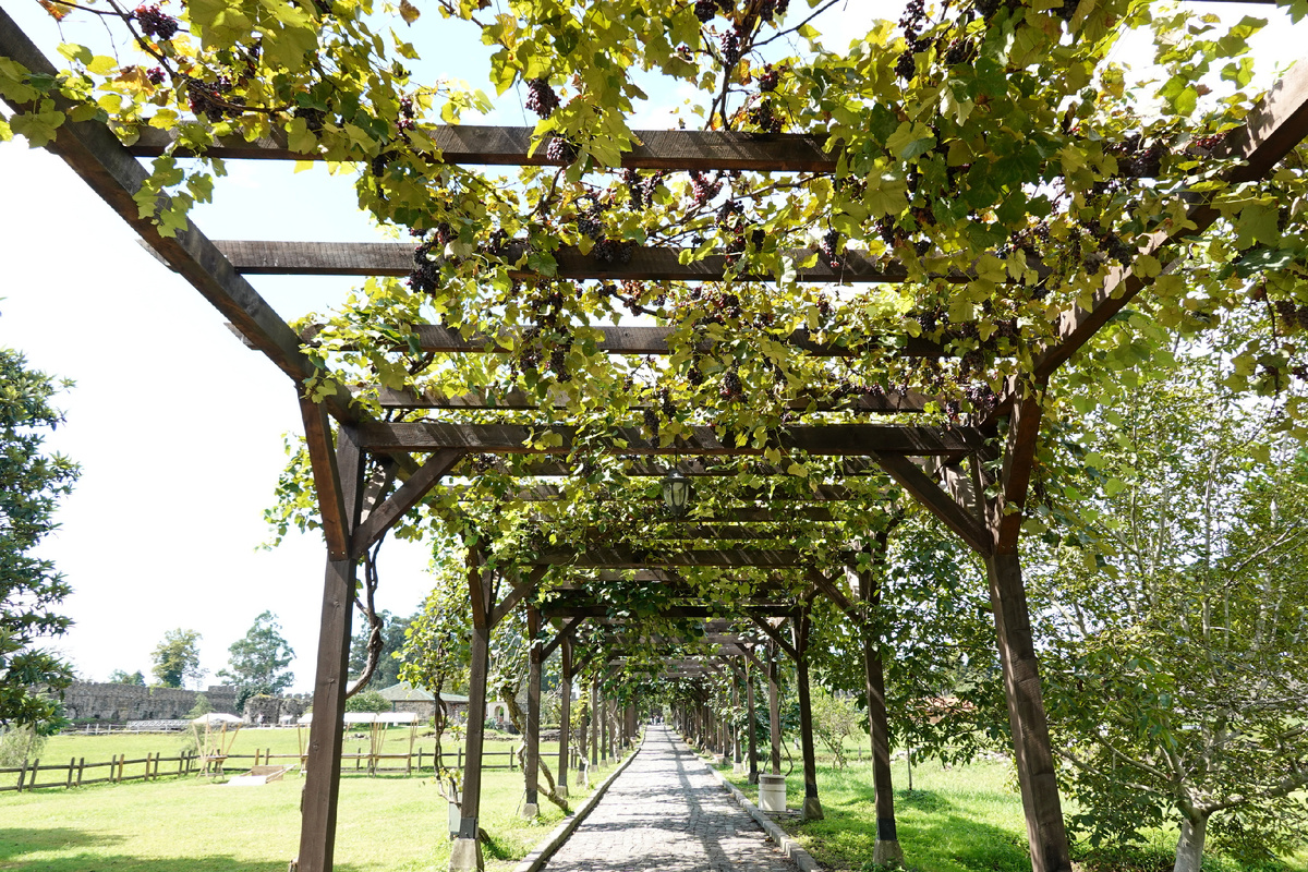 Аппетитные гроздья винограда