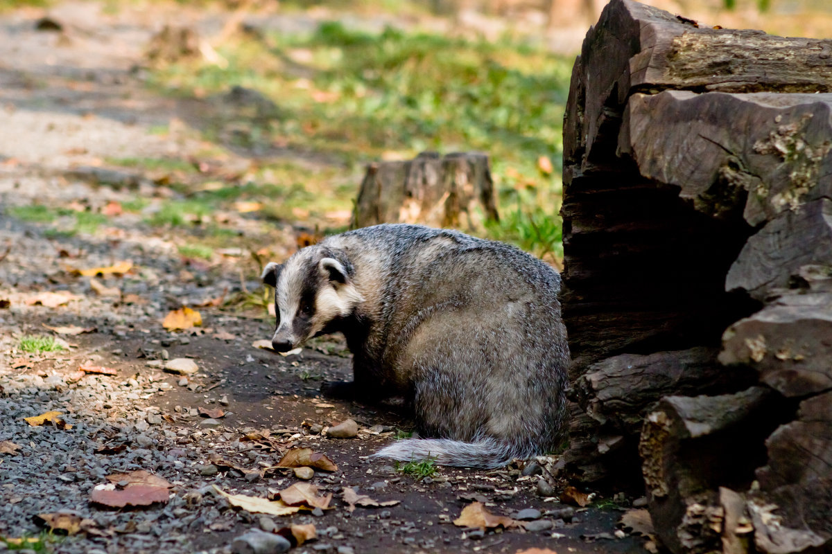 Фото с сайта: https://fotokto.ru/photo/view/742818.html