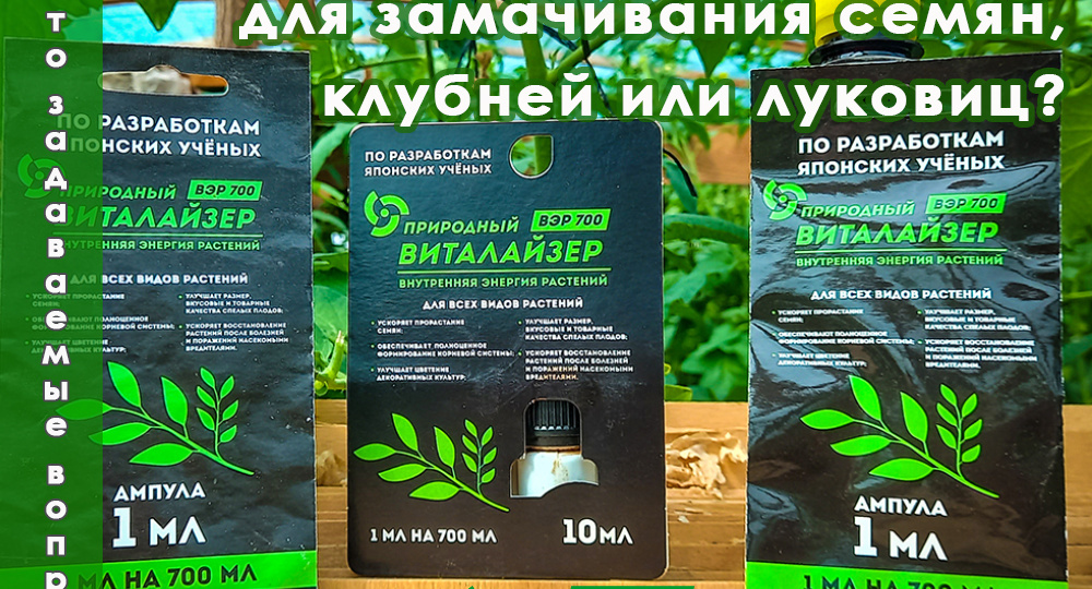 ❓Как применять Виталайзер для замачивания семян, клубней или луковиц?