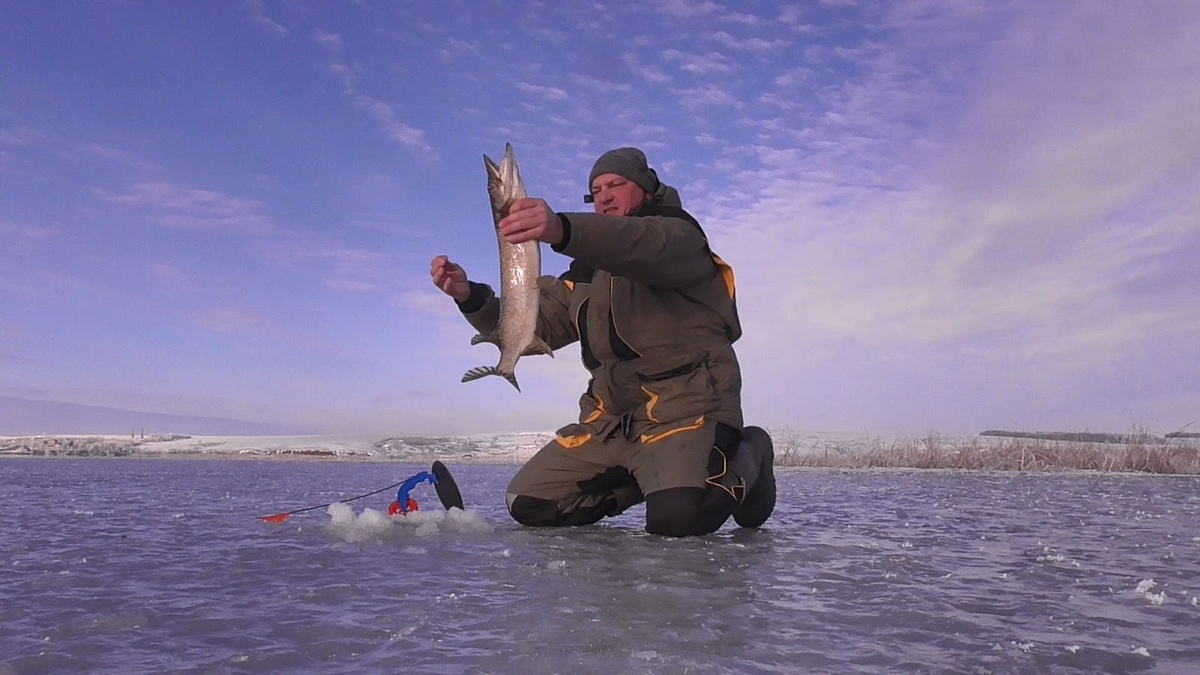 Рыбалка на жерлицы зимой