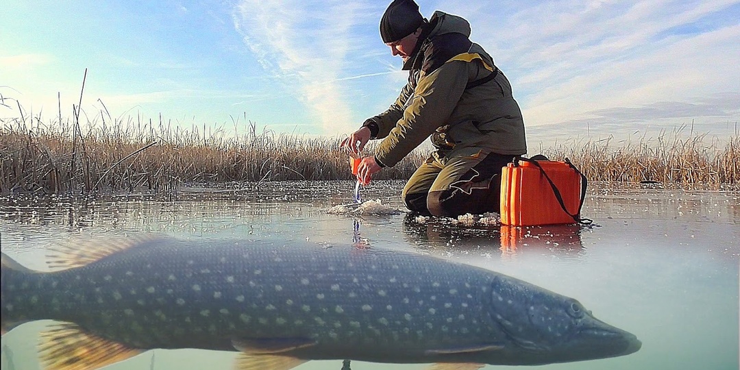 Не клюет на жерлицы? Сделайте так