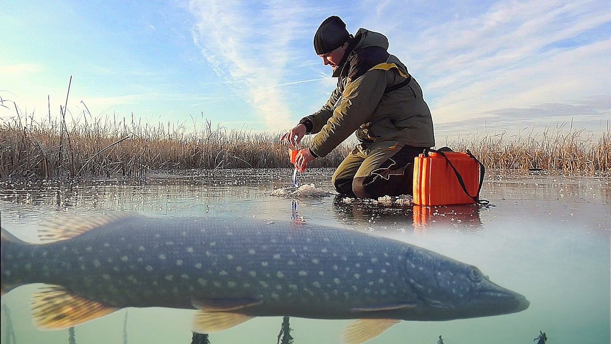 Рыбалка на жерлицы зимой