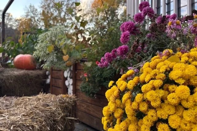    Какая погода ожидает воронежцев на длинных ноябрьских выходных?