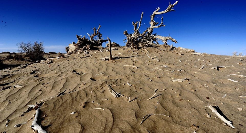    Zhang Hongxiang/ZUMAPRESS.com / www.globallookpress.com