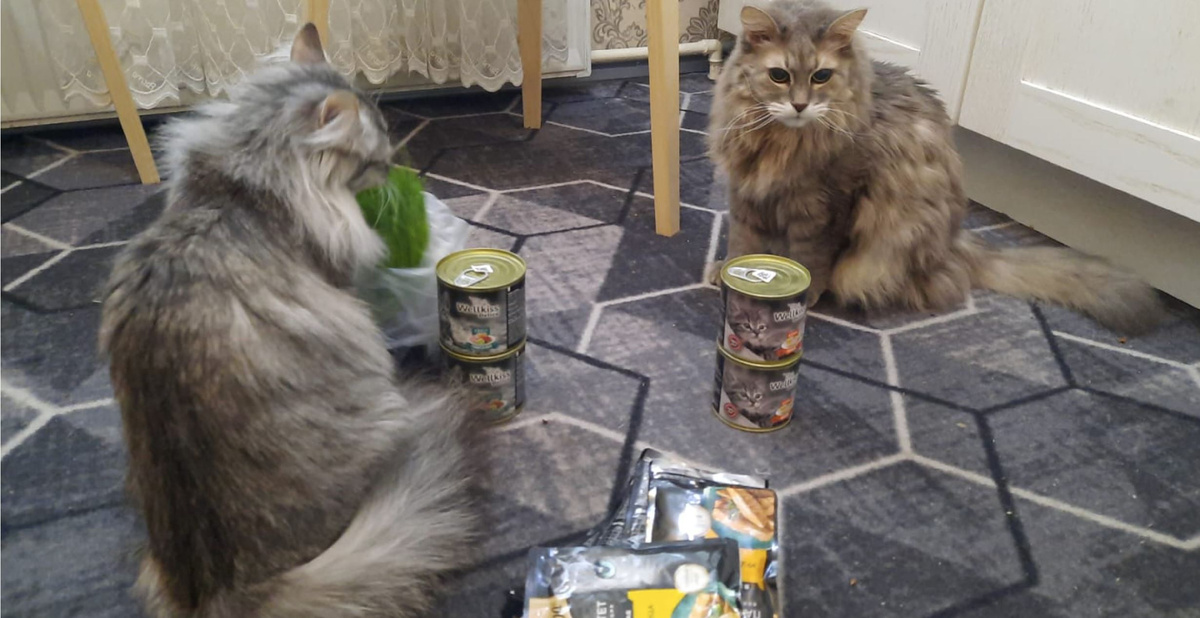 Осмотр подарков! Именинница Кася справа.