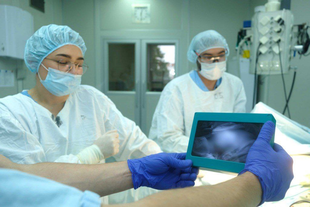    Минздрав СО