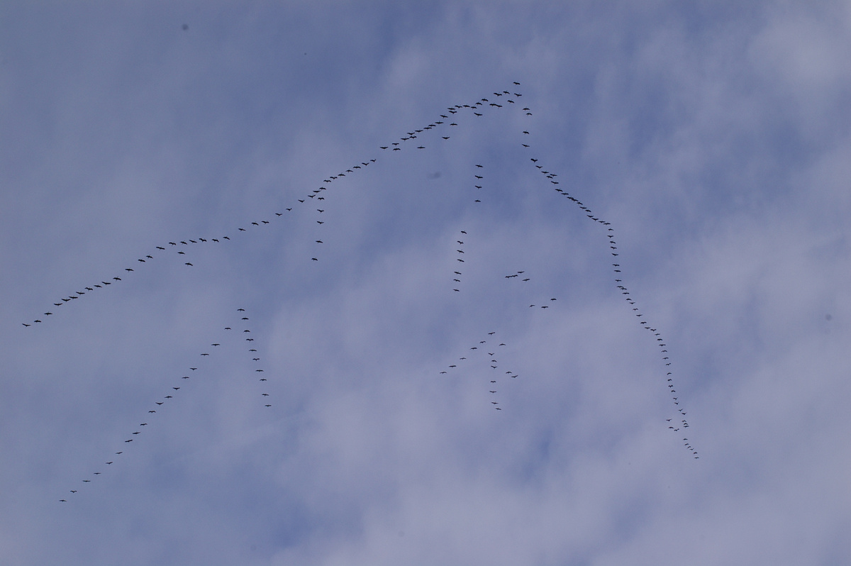 Только позавидовать остаётся тем, кто прекрасно знает, чем заняться осенью (фото И.Лебединского)