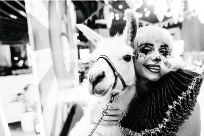 организацияhttps://feldman-events.ru/new-year