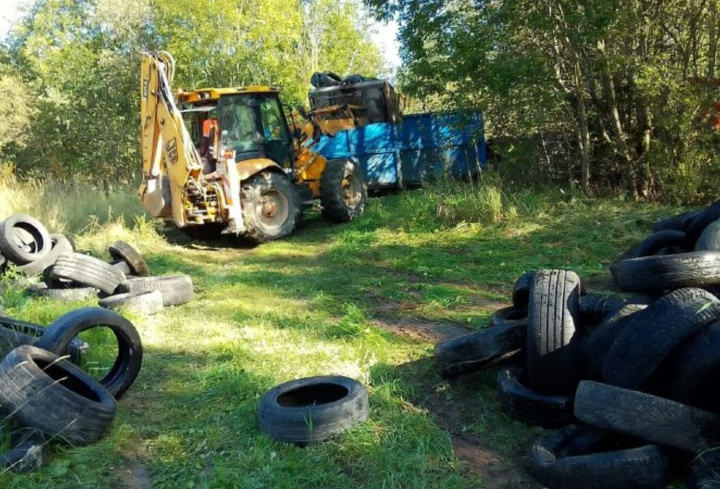 фото: t.me/prok_lenobl