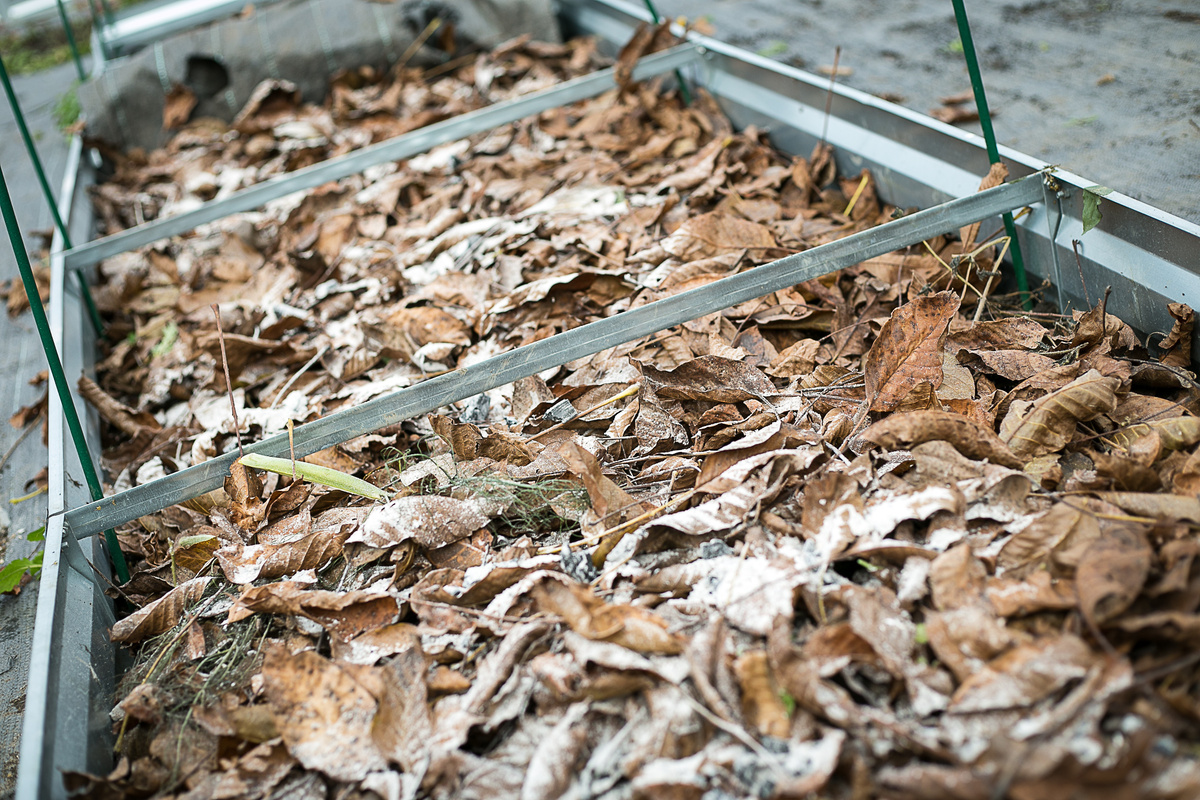 Фото Елена Якимова / Greenfingers