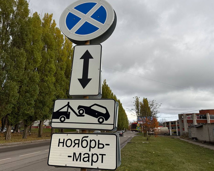     В Курске на 5 месяцев ограничивают остановку и парковку вдоль ключевых дорог