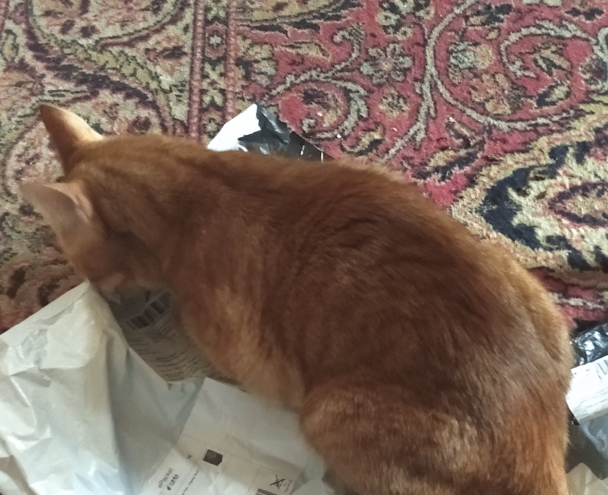 Личное фото